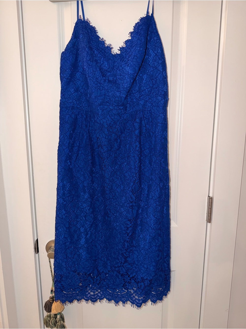 J. Crew Royal Blue Lace Midi Slip Dress